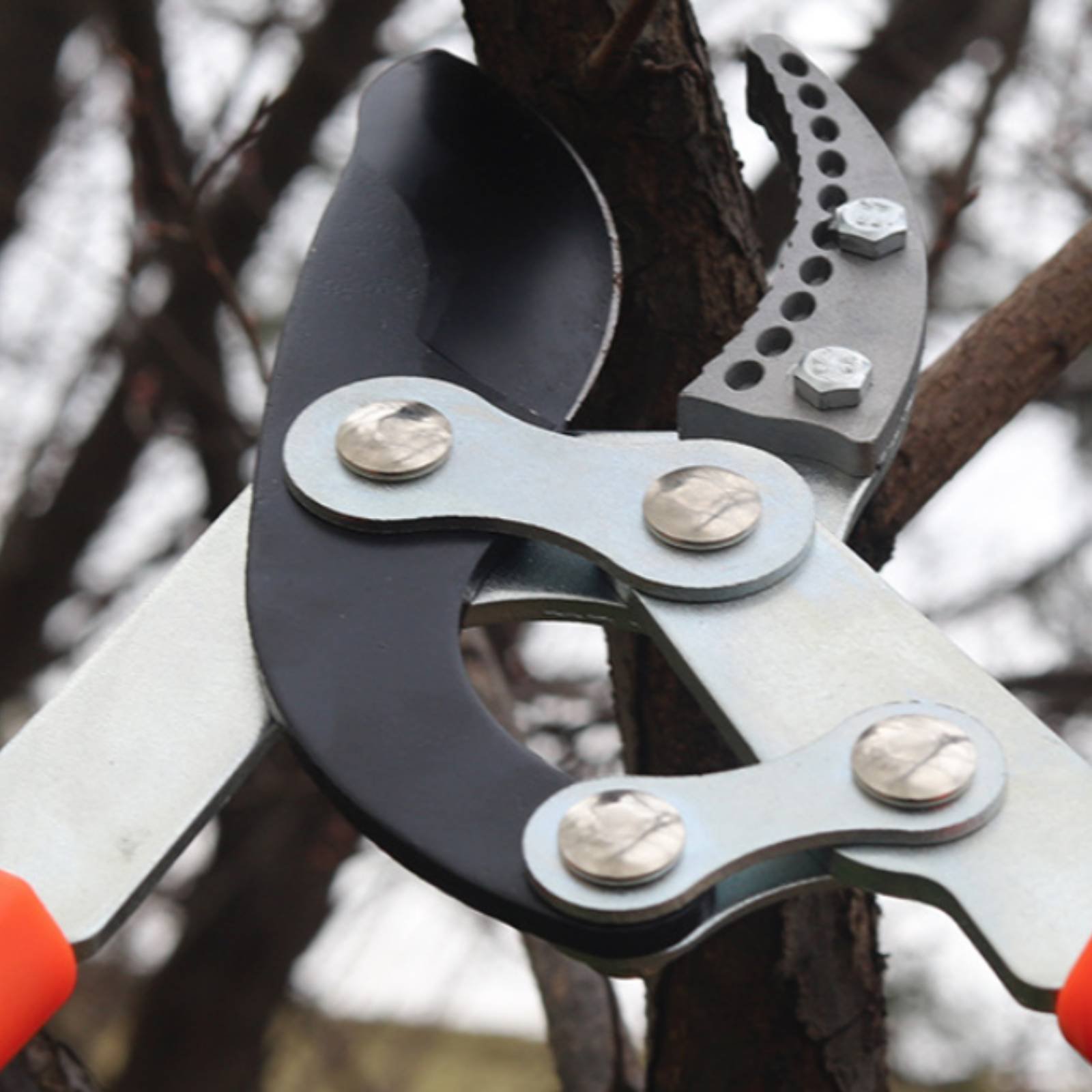 Telescopic Branch Pruners Shar - đánh giá và giá Garden Tools